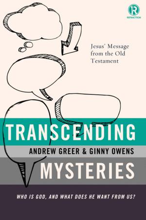 Cover of the book Transcending Mysteries by Katherine Reay