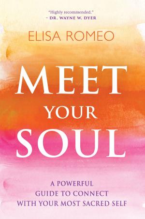 Cover of the book Meet Your Soul by Darren R. Weissman, Dr., Cate Montana