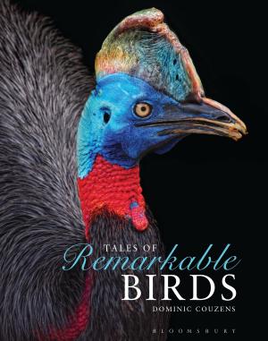 bigCover of the book Tales of Remarkable Birds by 