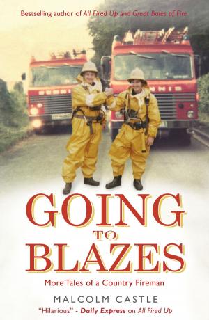 Cover of the book Going to Blazes by Judith Moffett