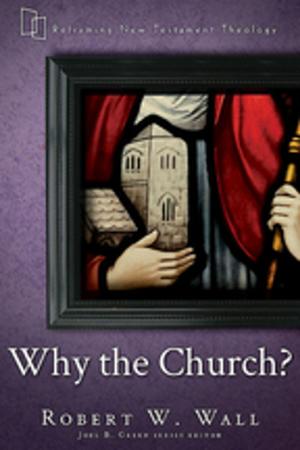Cover of the book Why the Church? by Robert Schnase