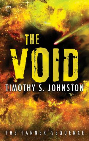 Cover of the book The Void by Lauren Dane