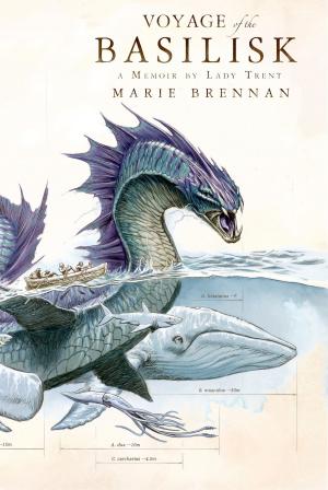 Cover of the book Voyage of the Basilisk by Burt Solomon