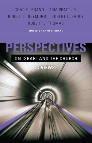 Cover of the book Perspectives on Israel and the Church by K.J. Soze