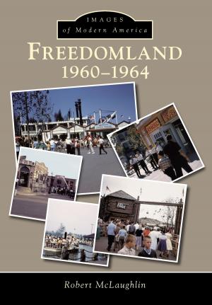 Cover of the book Freedomland by Joanne Hamilton Rajoppi