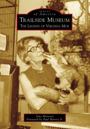 Cover of the book Trailside Museum by Amberrose Hammond