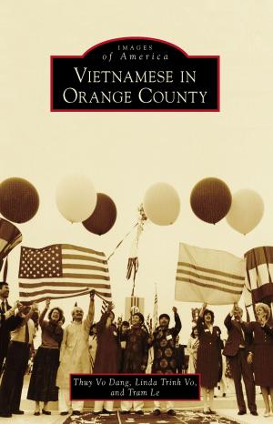 Cover of the book Vietnamese in Orange County by Jeanne K. Pirtle