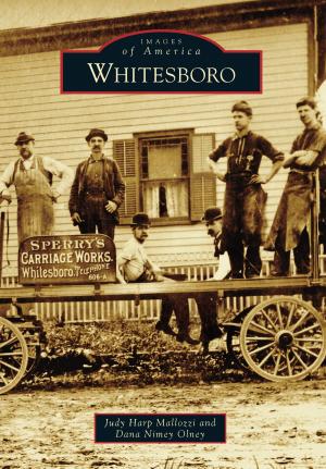 Cover of the book Whitesboro by Nevada Historical Society Docent Council