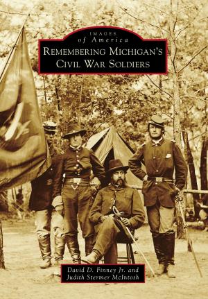 Book cover of Remembering Michigan's Civil War Soldiers