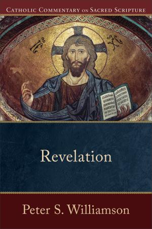 Cover of the book Revelation (Catholic Commentary on Sacred Scripture) by Clayton J. Schmit
