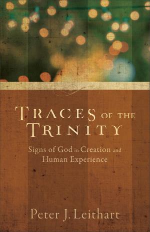Book cover of Traces of the Trinity