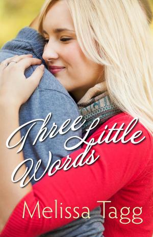 Cover of the book Three Little Words (Walker Family) by Ronald J. Sider, John Perkins, F. Albert Tizon