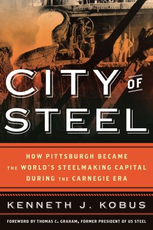 Cover of the book City of Steel by Peter A. Barnard