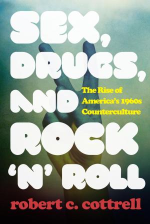 Cover of the book Sex, Drugs, and Rock 'n' Roll by Julie Urbanik