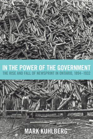 bigCover of the book In the Power of the Government by 