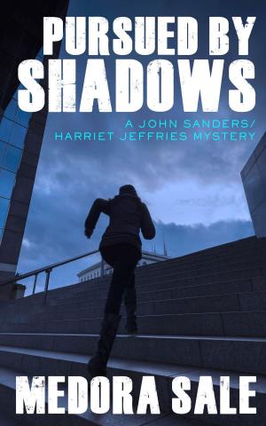 Cover of the book Pursued By Shadows by Paul Sterry
