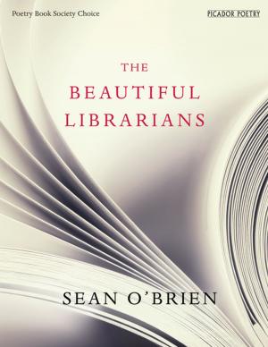 Cover of the book The Beautiful Librarians by Catherine Rayner