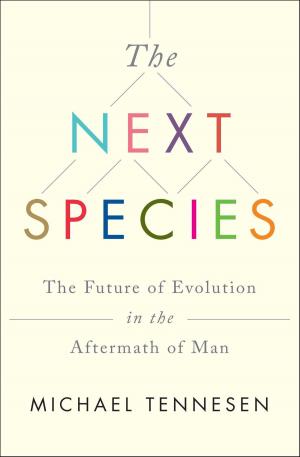 Cover of the book The Next Species by Santa Montefiore