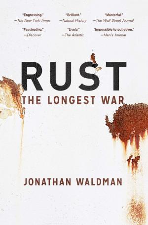 Cover of the book Rust by James F. Simon