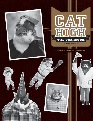 Cover of the book Cat High by Tim Clancy