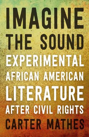 Cover of the book Imagine the Sound by Eric Dregni Dregni