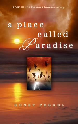 Cover of the book A Place Called Paradise by Christopher E. L. Toote, Ph.D., D.Min.
