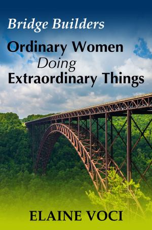 Cover of the book Bridge Builders: Ordinary Women Doing Extraordinary Things by Jai Louys