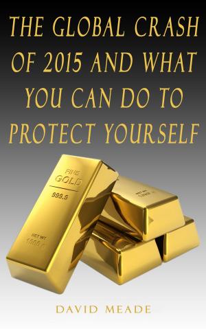 Cover of the book The Global Crash of 2015 and What You Can Do to Protect Yourself by Leandra Martin