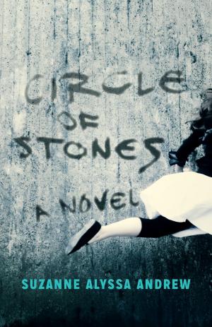 Cover of the book Circle of Stones by David Matas