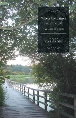 Cover of the book Where the Fairies Paint the Sky by Heike Mertins