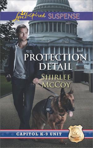 Cover of the book Protection Detail by Jennifer Taylor