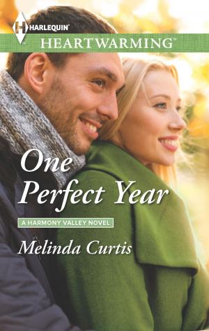 Cover of the book One Perfect Year by Matthew Fox