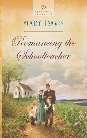 Cover of the book Romancing the Schoolteacher by Julie Mullegan