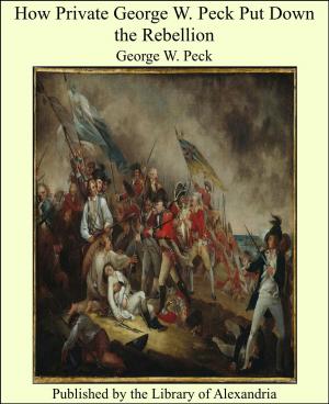 Book cover of How Private George W. Peck Put Down the Rebellion