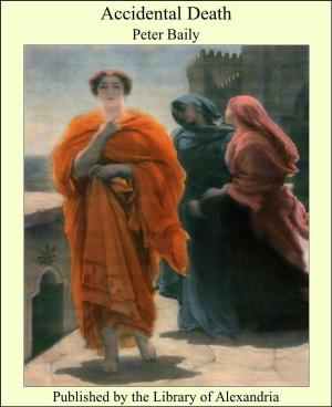 Cover of the book Accidental Death by José Martiniano de Alencar