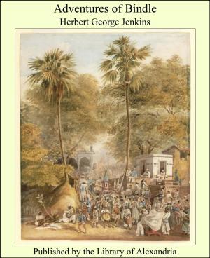 Cover of the book Adventures of Bindle by Manuel Fernández y González