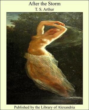 Cover of the book After the Storm by Robert William Chambers