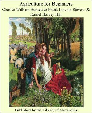 Cover of the book Agriculture for Beginners by Henry Rider Haggard