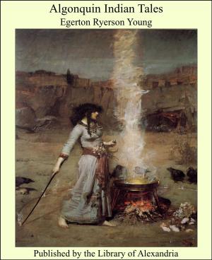 Cover of the book Algonquin Indian Tales by Maria Edgeworth