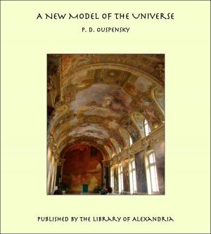 Book cover of A New Model of The Universe