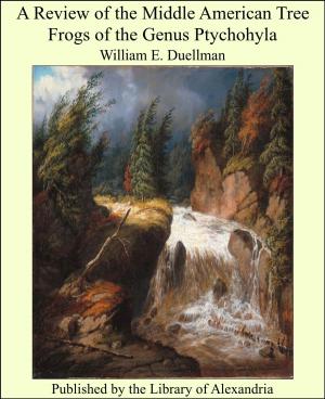 Cover of the book A Review of the Middle American Tree Frogs of the Genus Ptychohyla by William H. Varnum
