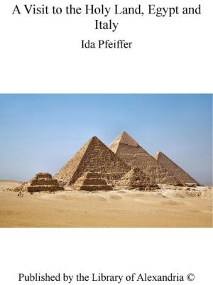 bigCover of the book A Visit to The Holy Land, Egypt and Italy by 