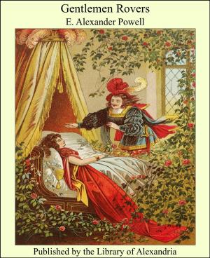 Cover of the book Gentlemen Rovers by Rudolf Eucken