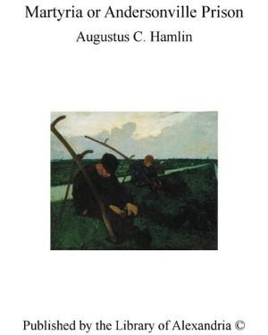 Cover of the book Martyria or Andersonville Prison by Bjørnstjerne Bjørnson
