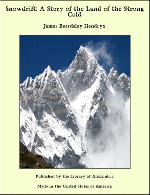 Cover of the book Snowdrift: A Story of The Land of The Strong Cold by John Stuart Mill