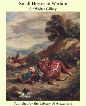 Book cover of Small Horses in Warfare