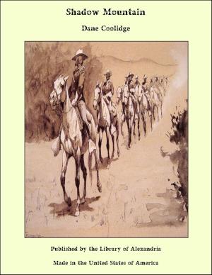 Cover of the book Shadow Mountain by John Willcock