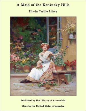 Cover of the book A Maid of The Kentucky Hills by Burton Egbert Stevenson