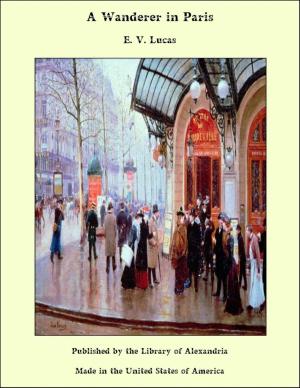 Book cover of A Wanderer in Paris