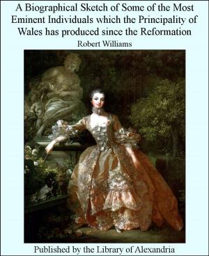 bigCover of the book A Biographical Sketch of Some of The Most Eminent individuals Which The Principality of Wales Has Produced Since The Reformation by 